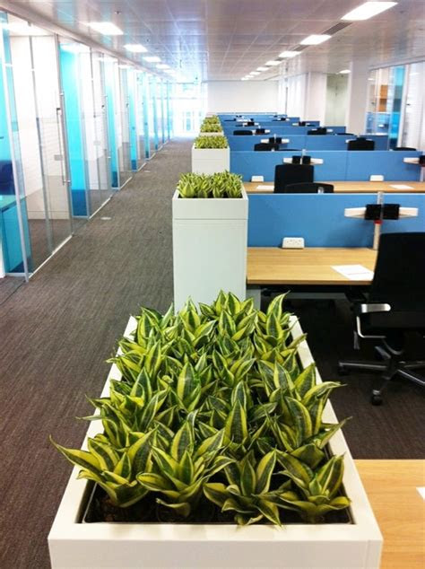 This site contains affiliate links from which we receive a compensation (like amazon. 40 Refreshing Indoor Office Garden Installation Ideas
