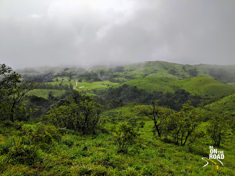 Lush green of the Monsoons at Kaginahare, Western Ghats, Karnataka