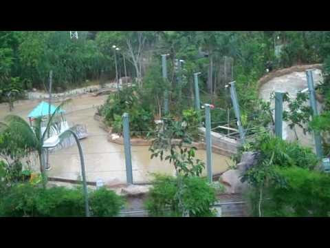 Jurassic Park River Adventure T-Rex