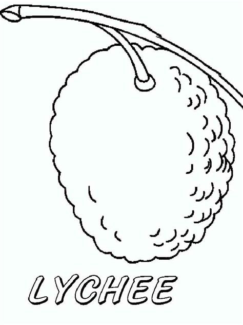 lychee coloring pages   print lychee coloring pages