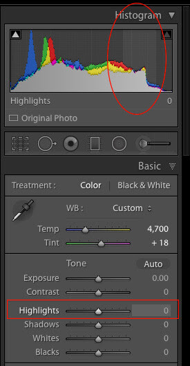 Highlights-slider