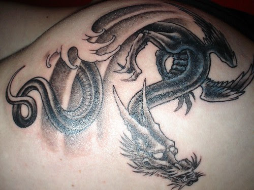celtic dragon tattoo free