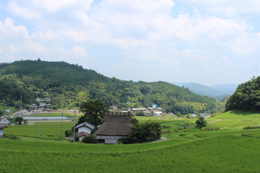 能勢長谷の棚田の夏の風景 北摂アーカイブ A