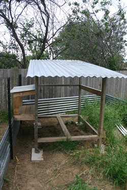 Chooktopia - Chicken Coop Designs and Construction - coop photos