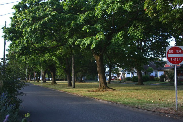 Firland Parkway