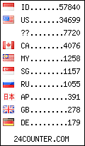 visitors by country counter