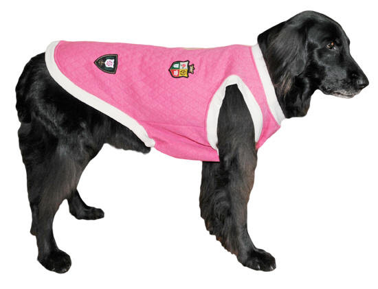ブリティッシュキルトベスト 7号 8号 大型犬 犬のお洋服 あいんどっく