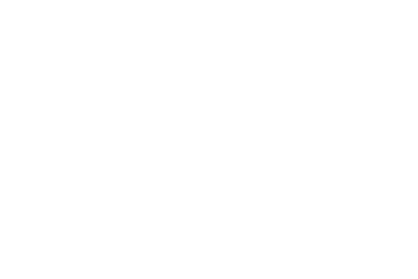 シンプル レース素材専門サイト Da Lace ダ レース