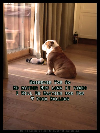 Quotes For Sister S Love In English