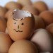 broken egg, egg design, brown eggs, collection of eggs
