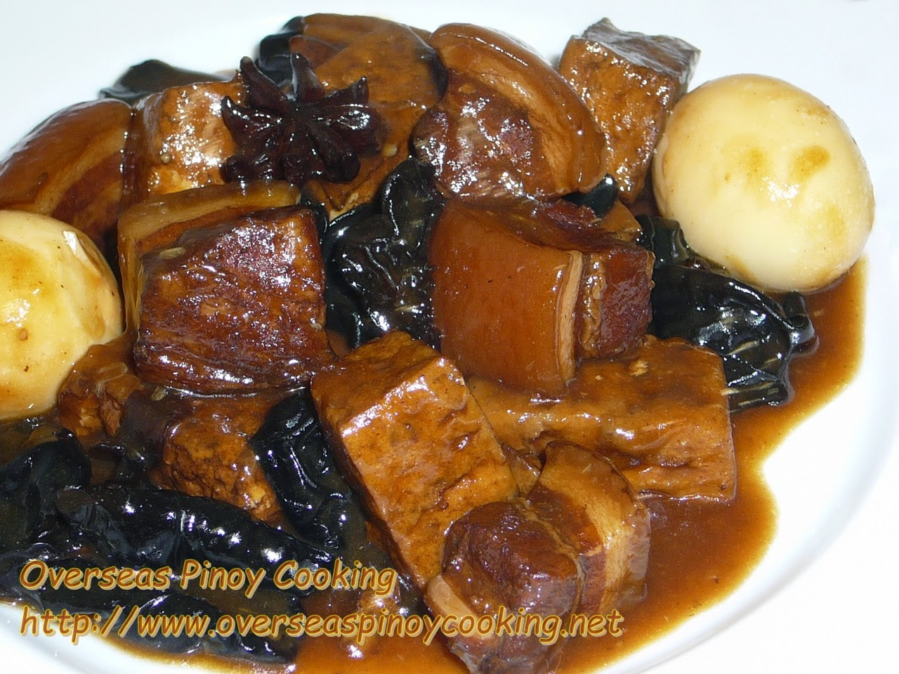 Braised Pork and Tofu