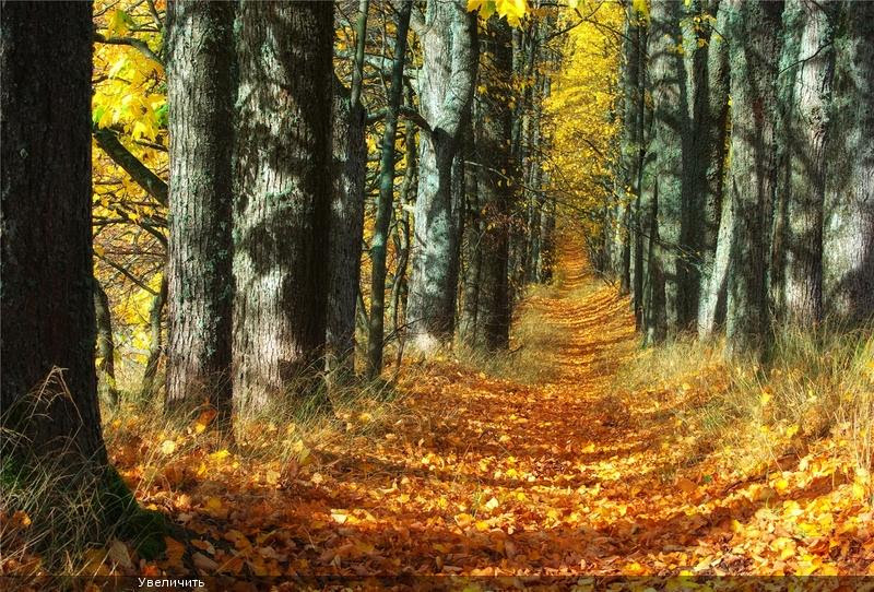 Nature in Latvia 11