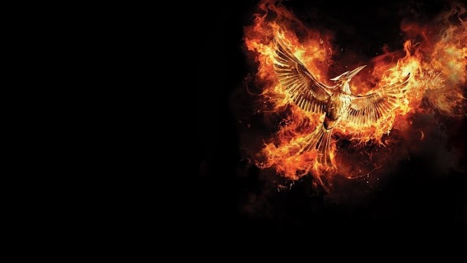 Hunger Games: Il canto della rivolta - Parte 2 2015 film completo
italia Scarica altadefinizione