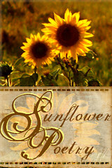 Sunflower Poetry