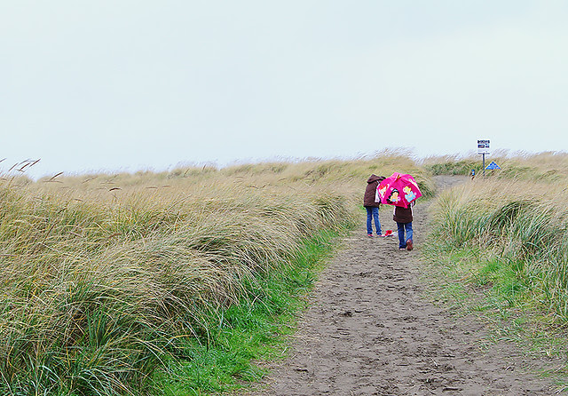 Beach2Web