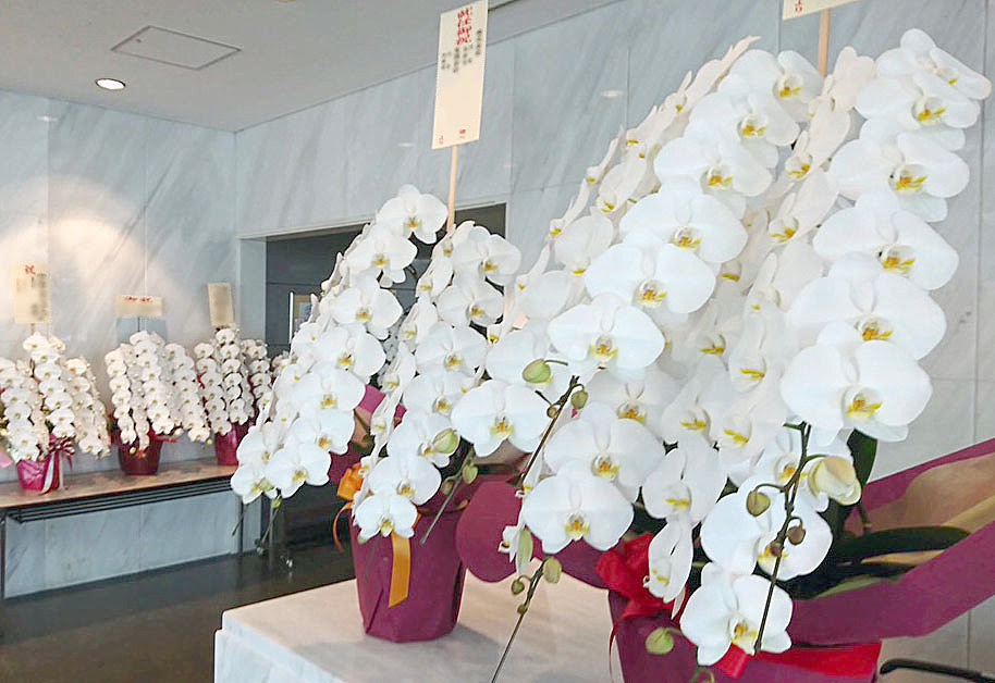 オフィス移転祝いに贈る 定番フラワーギフト と ワンランク上の新ギフト 花助 ビジネスに花を