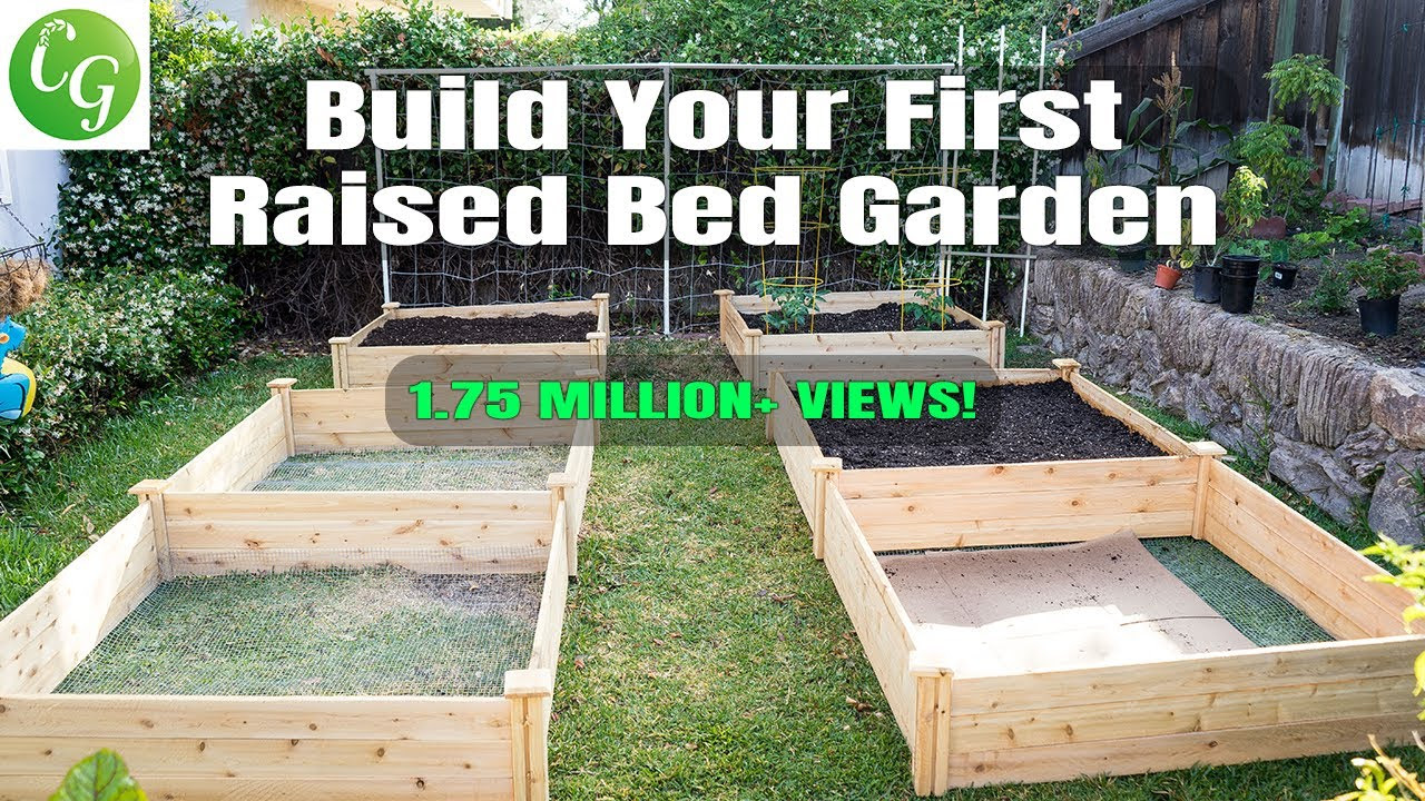 Raised Bed Gardening - How To Start A Raised Bed Vegetable Garden 
