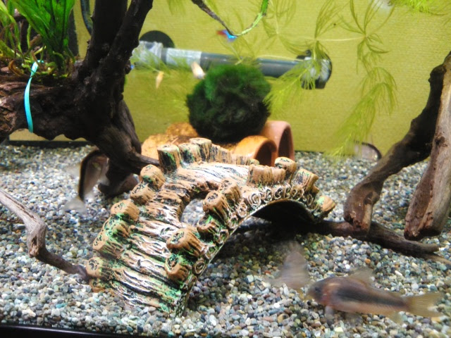 新作人気 水槽グッズ 魚用品 水草 Kerjakahwin Co