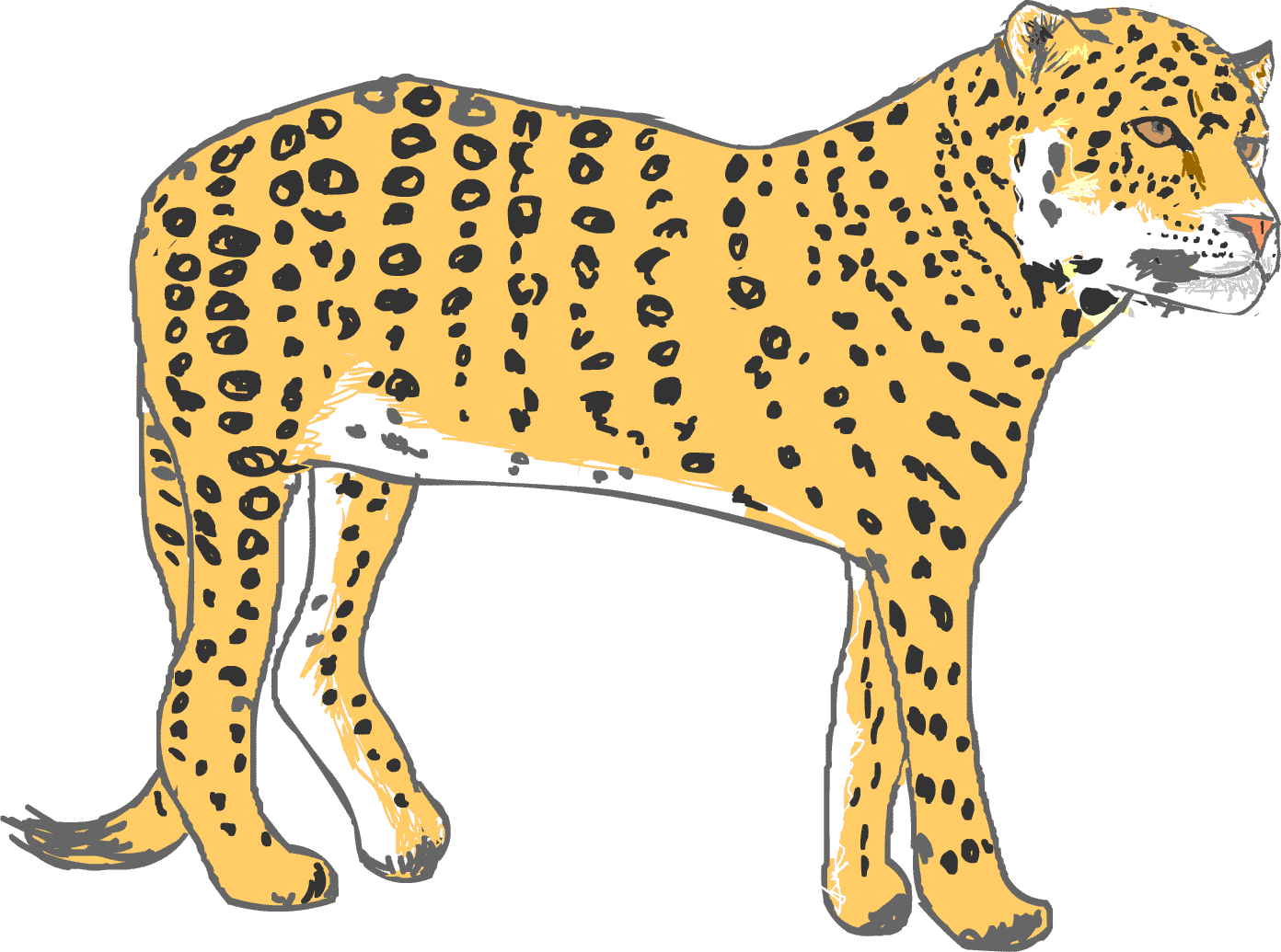 ヒョウ 豹 イラスト 無料 チーター