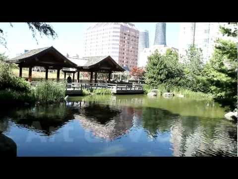 Indian Wedding Photography 