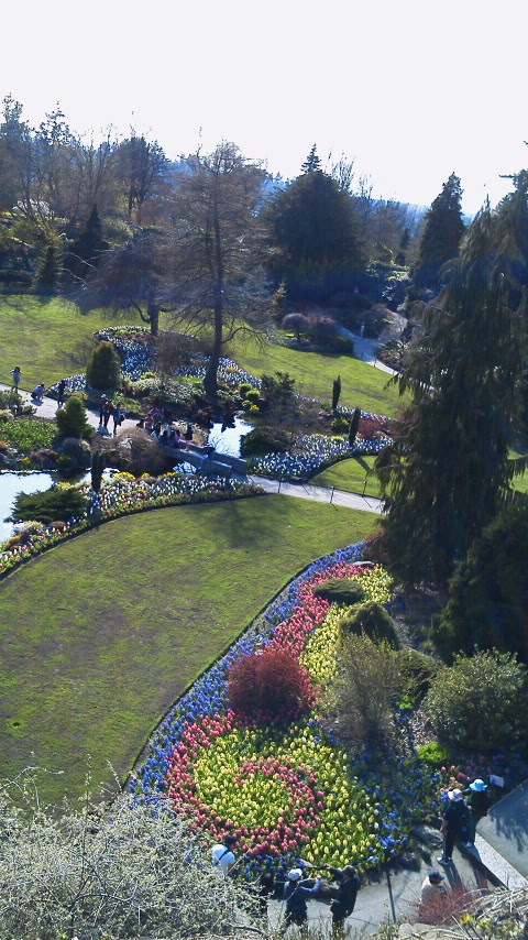 クイーンエリザベス公園 Bloomin