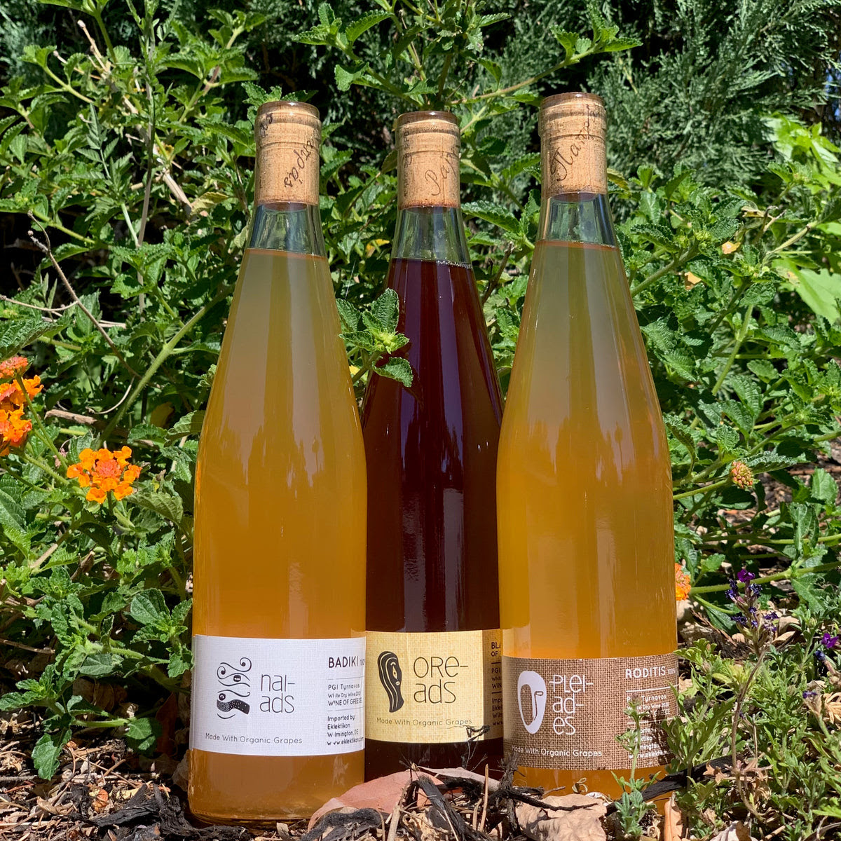 Grecian Natural wines form the foot of Mt. Olympus – Flatiron SF