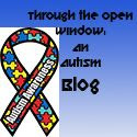 Through The Open Window Autism Blog