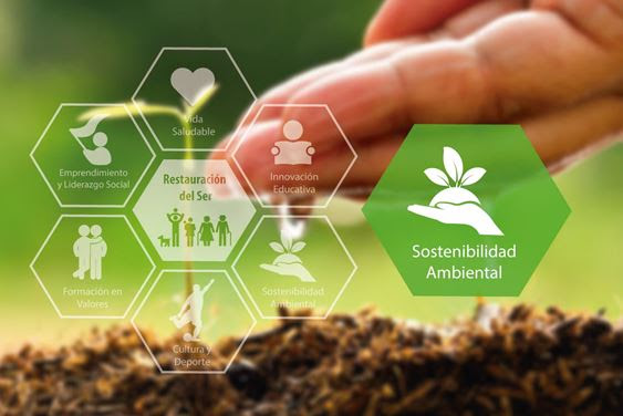 Consciencia y sostenibilidad ambiental, ¿cómo lograrlo?
