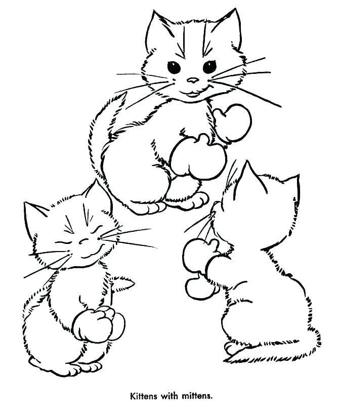 kitten coloring pages to print out at getcoloringscom free printable