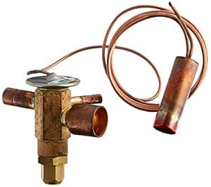 Amazon.com : Hayward SMX305040001 5-Ton Expansion Valve