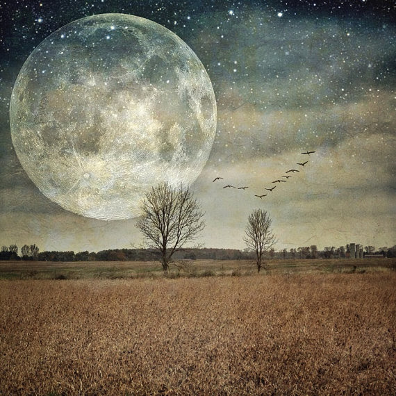 The Astrology Behind the 
