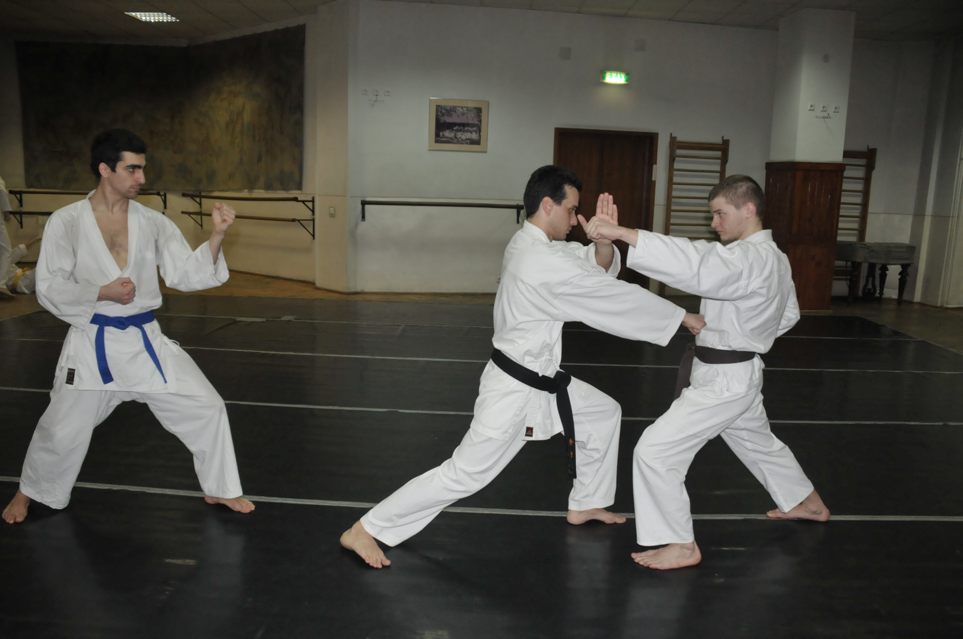Arte martiale - karate shotokan
