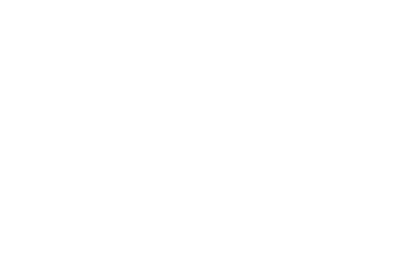 レースハート レース素材専門サイト Da Lace ダ レース