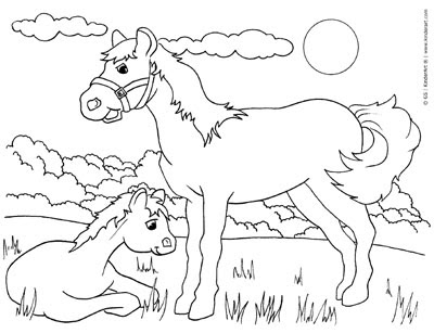 free animals and baby animals coloring pages to print and