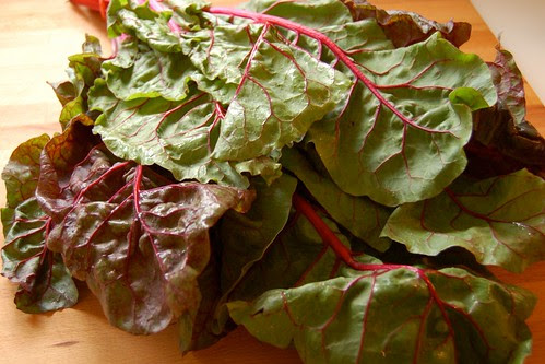 Big Huge Bunch of Chard