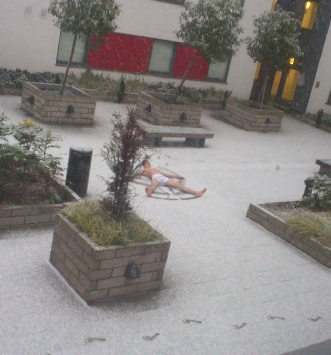I woke up to somebody screaming "it's Christmas outside!" I look out the window and see this