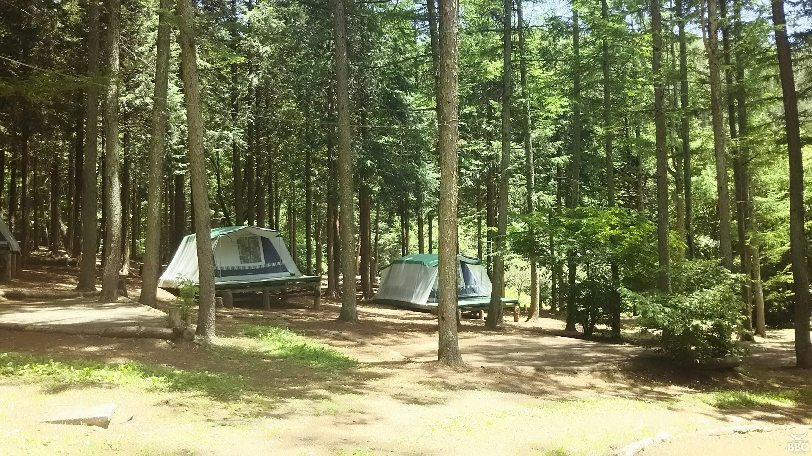 大自然に抱かれたキャンプ場woodpecker ウッドペッカー バーベキュー ジャパン山梨