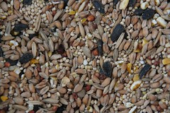 Wild Bird Mix