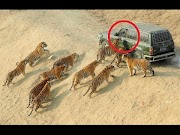 Viral 10 Crazy Survival Tips, viral!