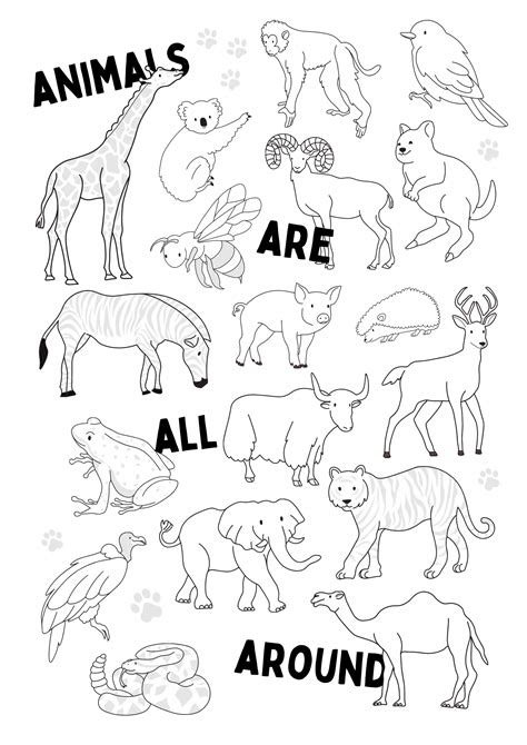 Get ready to dive into a world of fun with our delightful collection of free animal coloring pages! animals coloring page printable miss pursuit