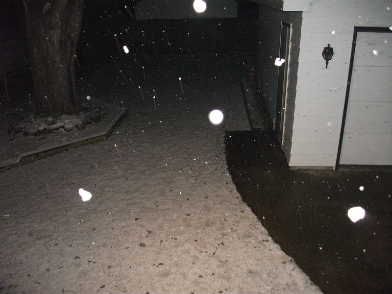 20121220 001