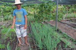 Photo Flipbook Slideshow Maker