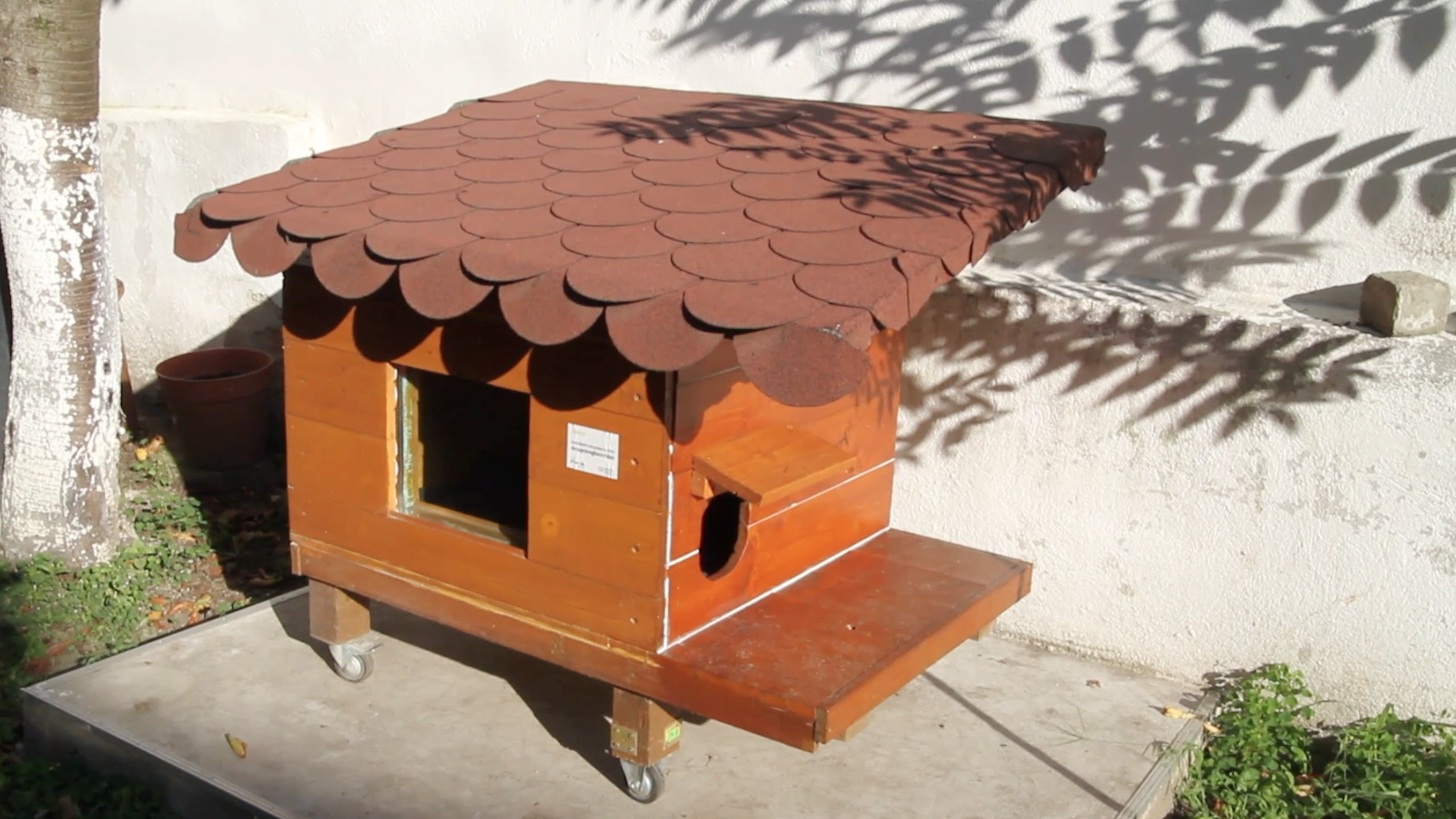Cat House