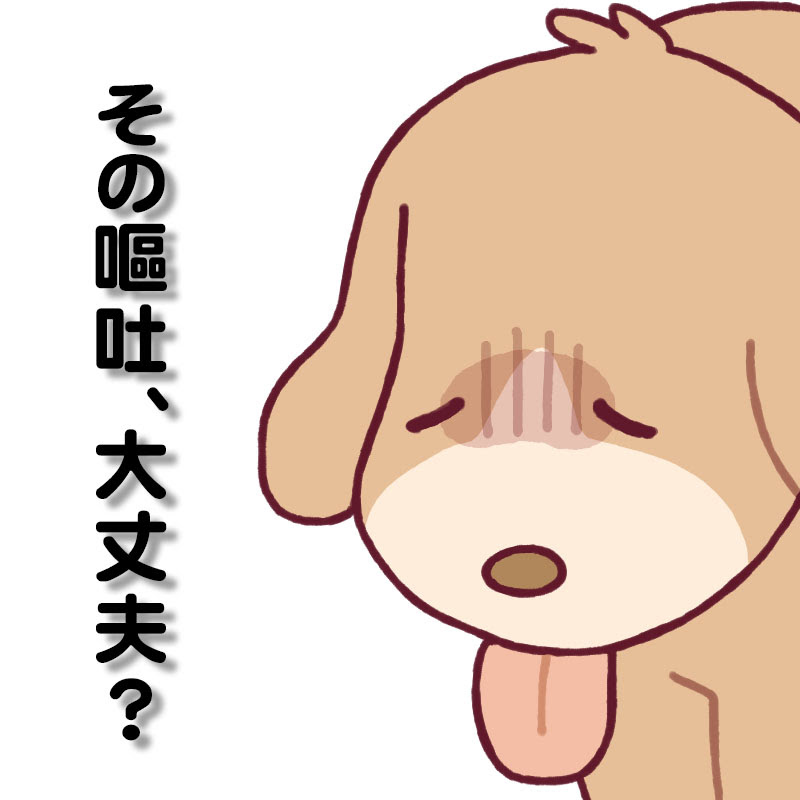獣医師監修 その嘔吐大丈夫 犬の嘔吐の原因と対策を徹底解説