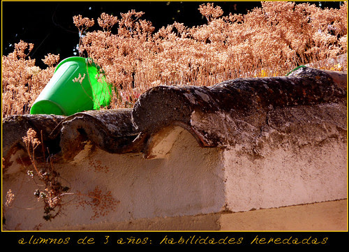 el cubo en el tejado