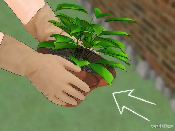 Get Rid of Spiders in the House Step 3 Version 3.jpg