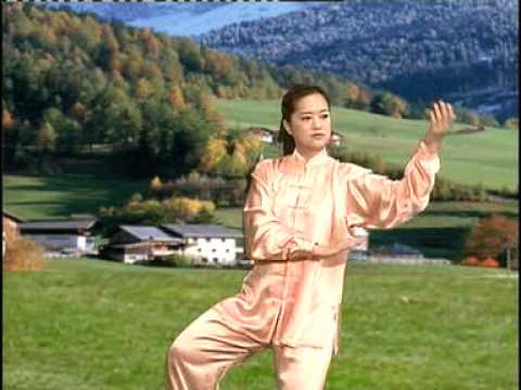 Center for Taiji Qigong Studies - Dr.<a name='more'></a> Yang Yang