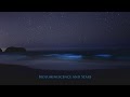 Bioluminescent Beach In Goa