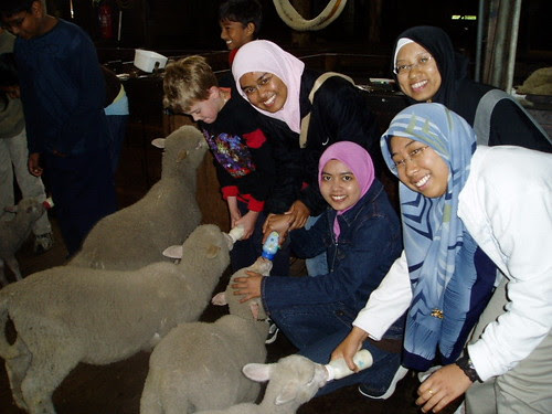 Shuhaini 044