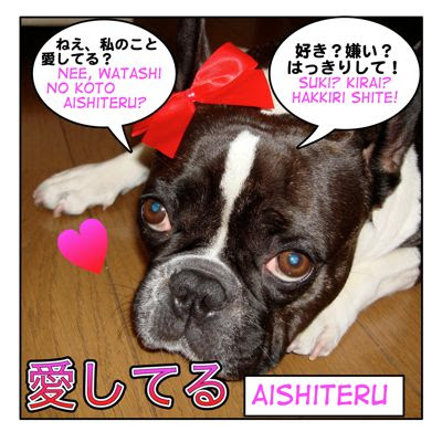 愛しています Aishite Imasu I Love You Love Related Japanese Maggie Sensei
